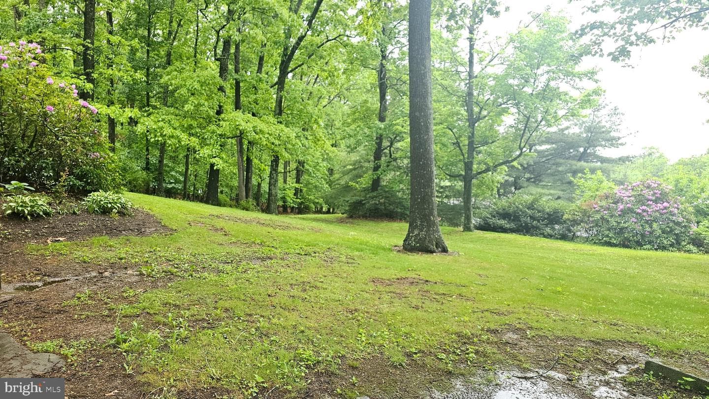 8964 Capitol Hill Road photo 14