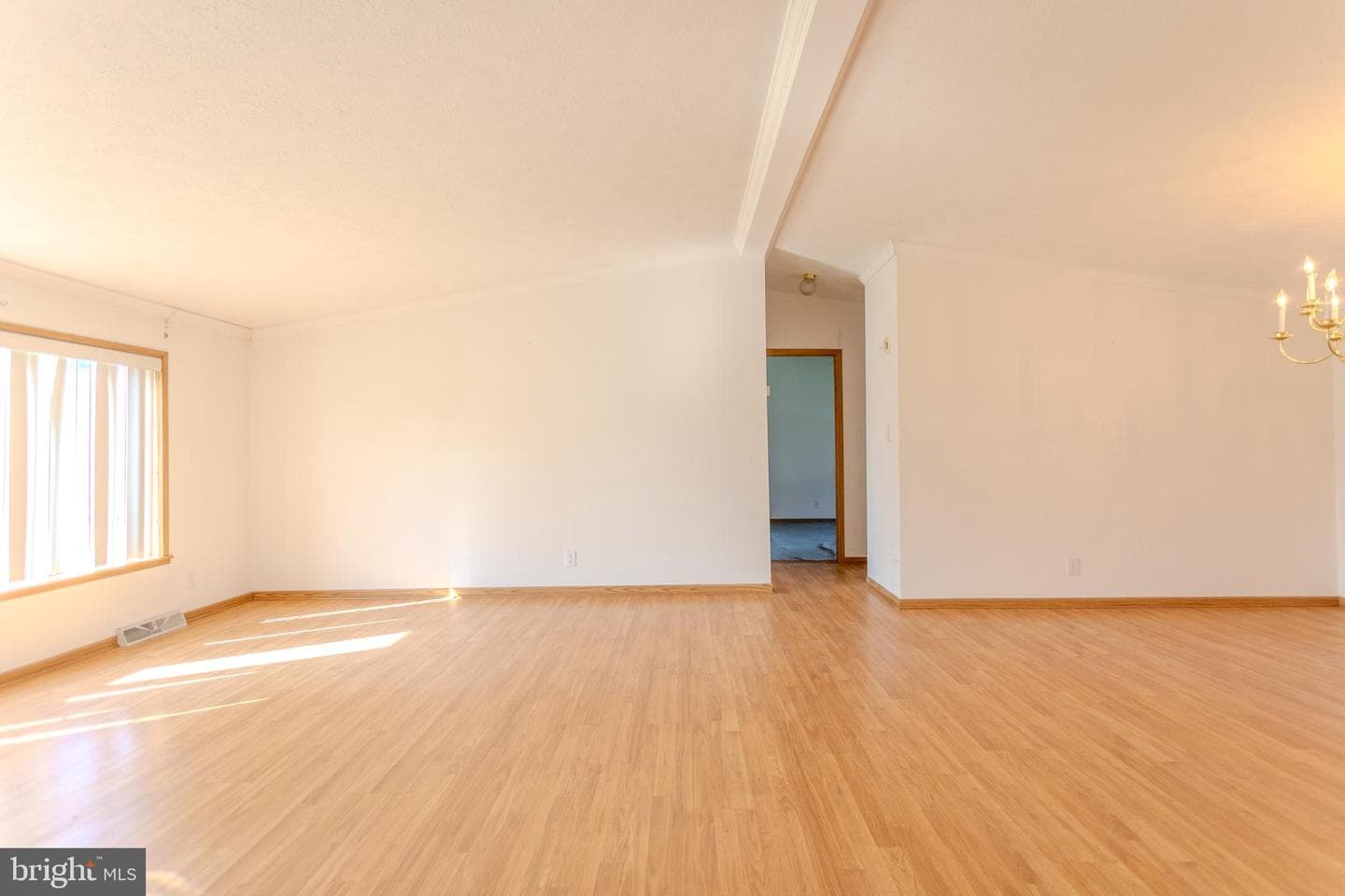 186 Hampton Drive photo 11