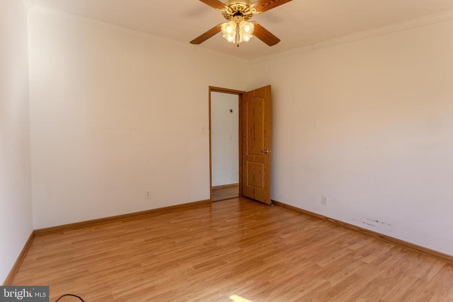 186 Hampton Drive photo 31