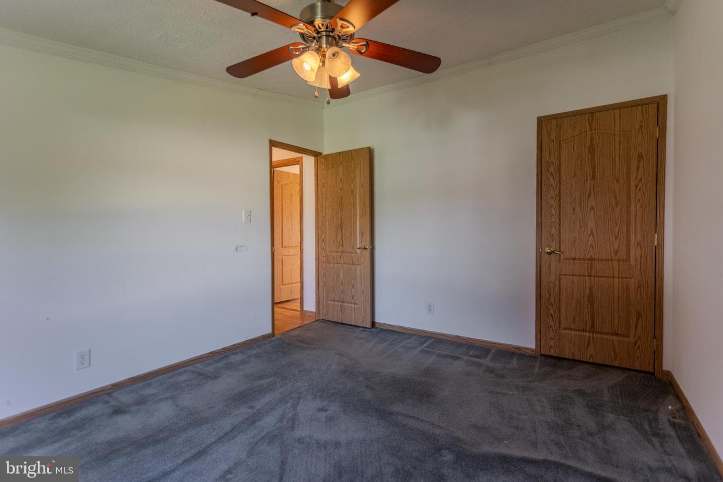 186 Hampton Drive photo 39