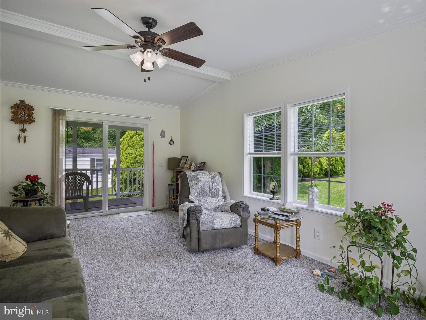 11187 Bailey Springs Road photo 16