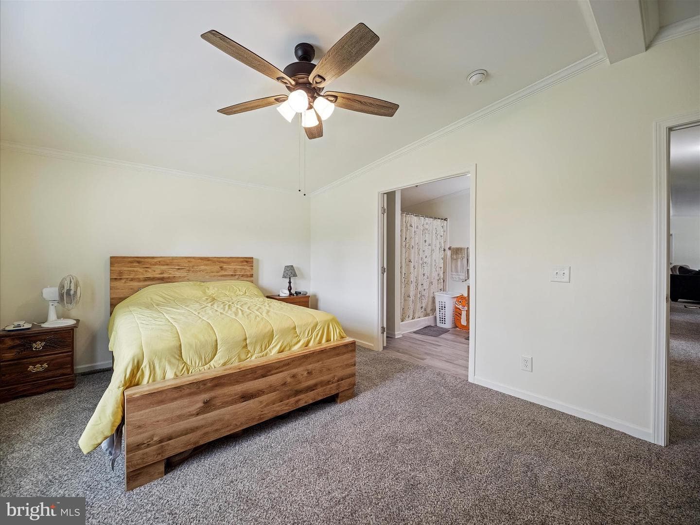 11187 Bailey Springs Road photo 19