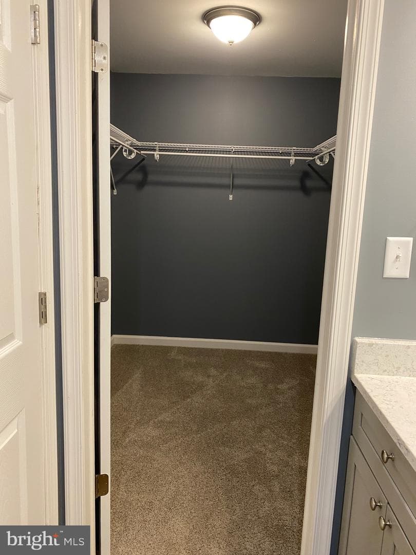 148 Buckingham Drive photo 10