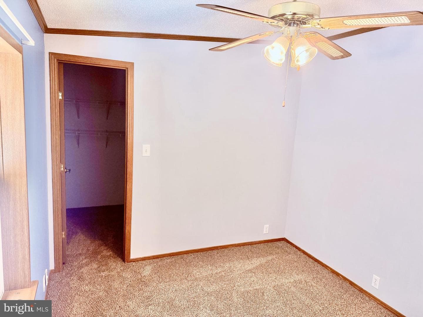 242 Waverly Court photo 27