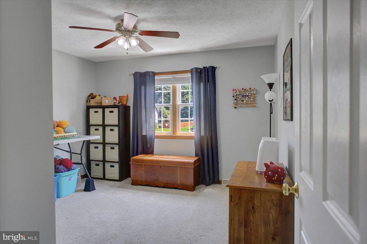 173 Stony Point Avenue photo 37