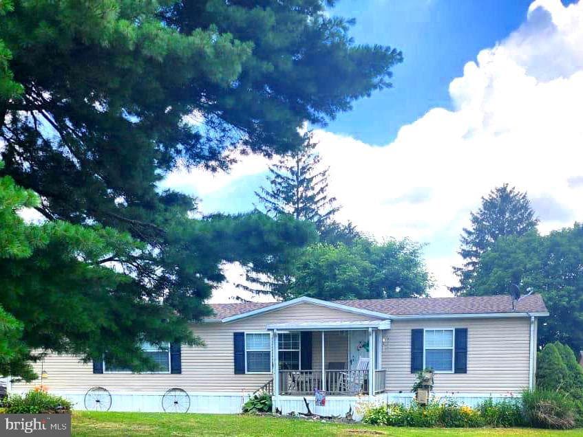 4612 Holly Drive photo 3