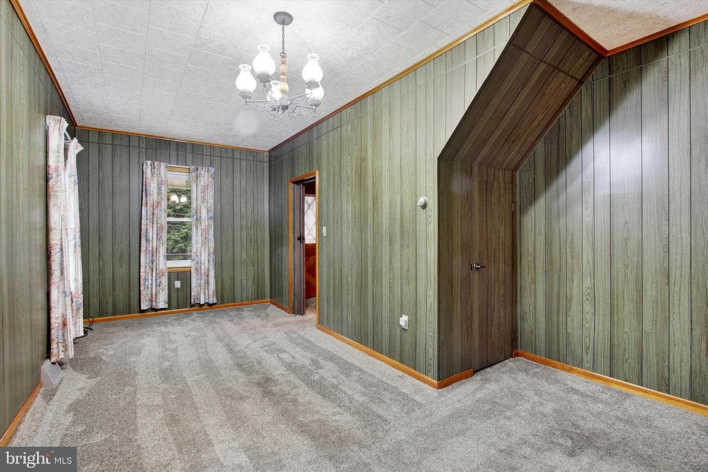 215 Mount Airy Avenue photo 22