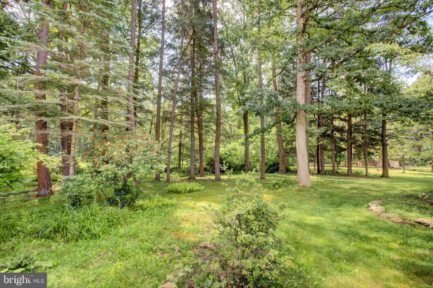 21796 Amberson Road photo 10