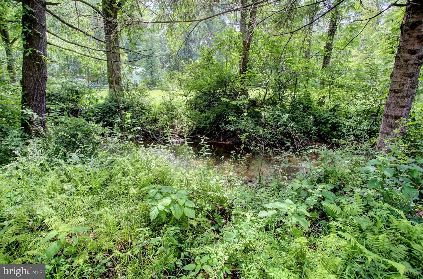 21796 Amberson Road photo 11