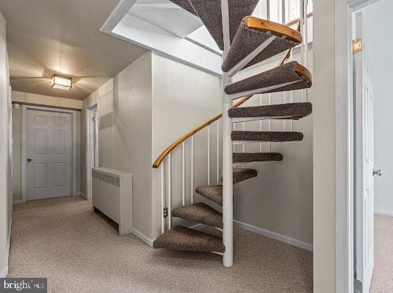 10725 Knob Road photo 30