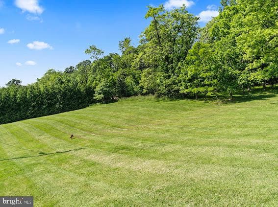 10725 Knob Road photo 57