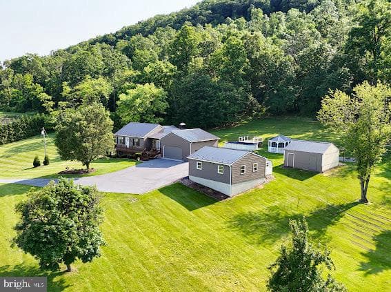 10725 Knob Road photo 60