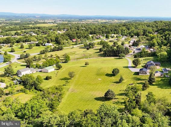 10725 Knob Road photo 67