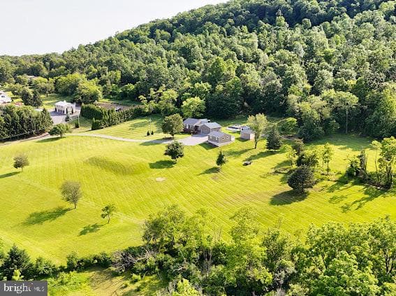10725 Knob Road photo 68