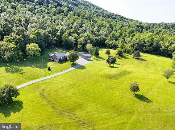 10725 Knob Road photo 69