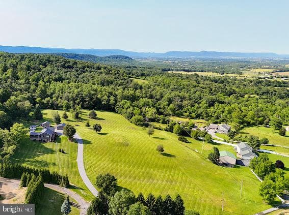 10725 Knob Road photo 70