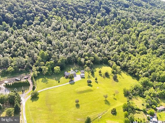 10725 Knob Road photo 72