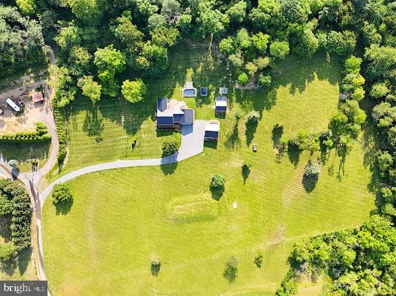 10725 Knob Road photo 73