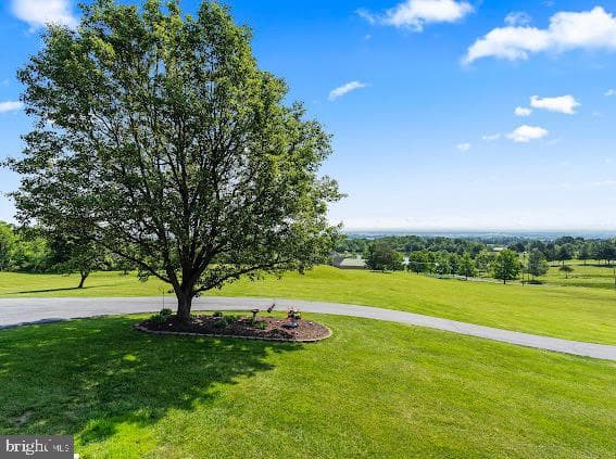 10725 Knob Road photo 8