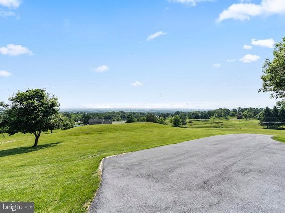 10725 Knob Road photo 9