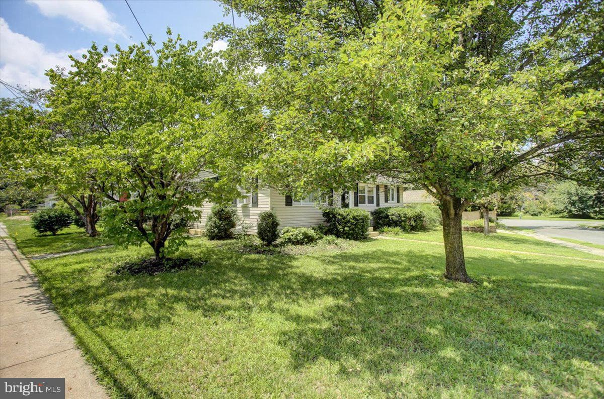 889 Broad Street photo 4