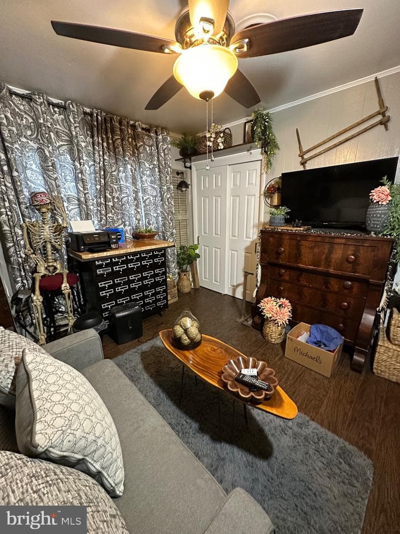3 Findlay Drive photo 16