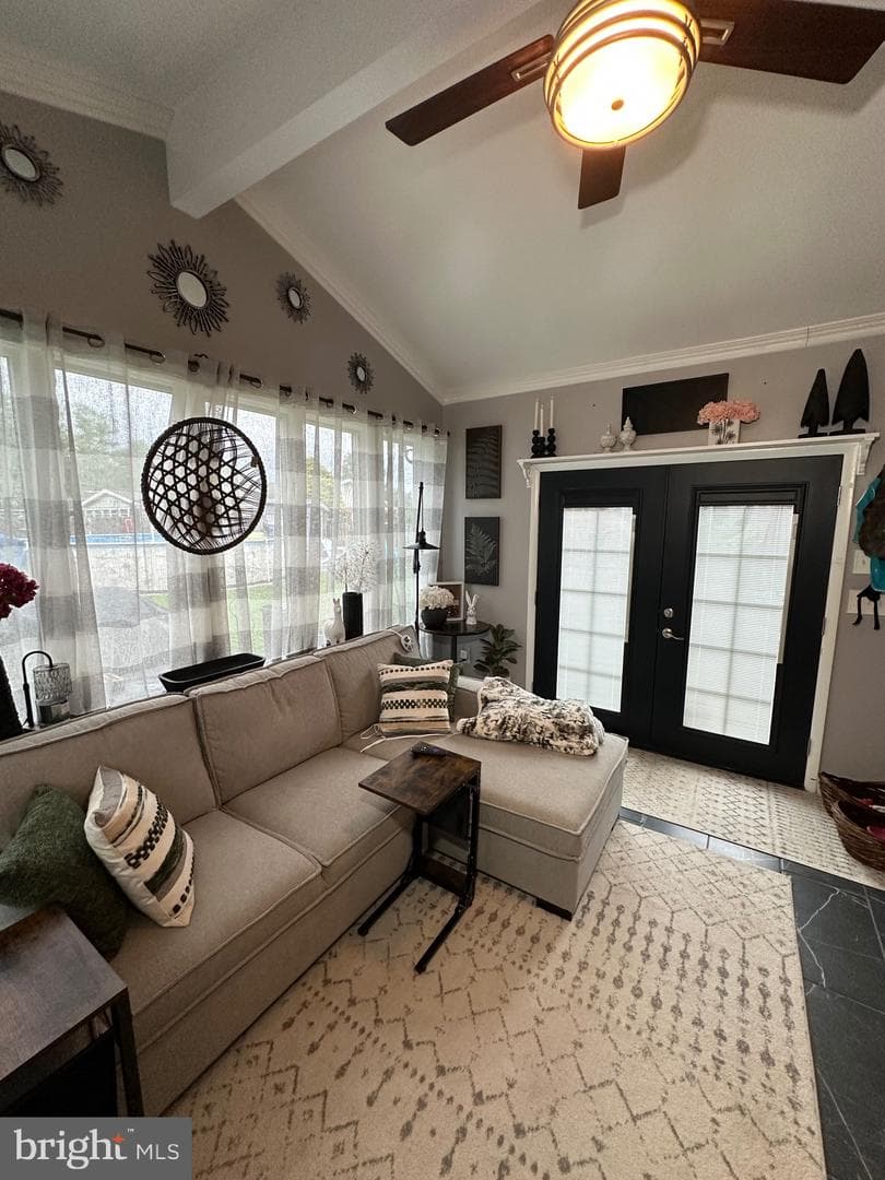 3 Findlay Drive photo 21