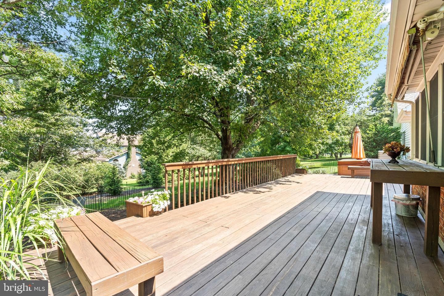3398 Braemar Court photo 48
