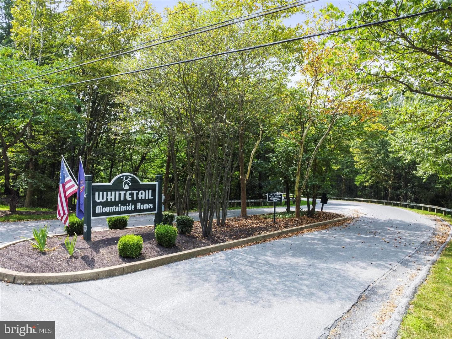 13865 Trailside Lane photo 45