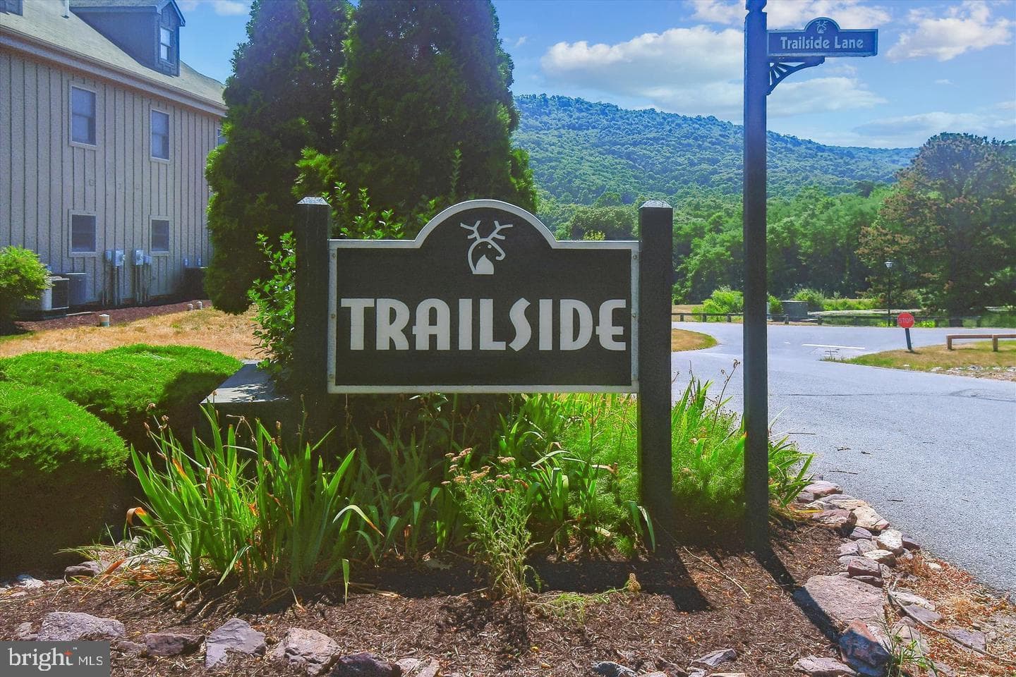 13865 Trailside Lane photo 56
