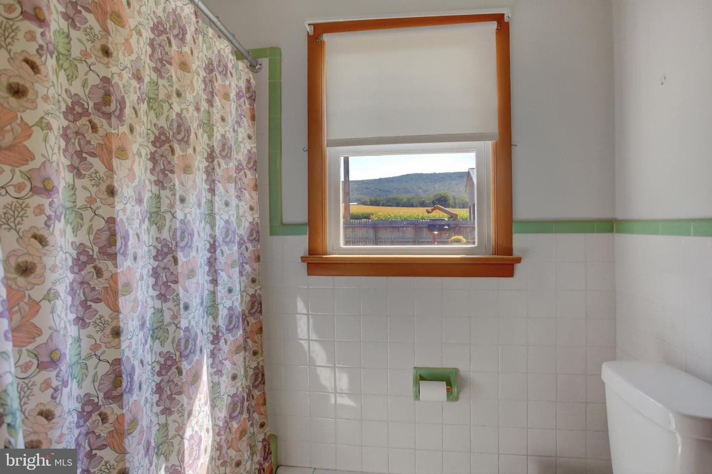 7468 Anthony Highway photo 15