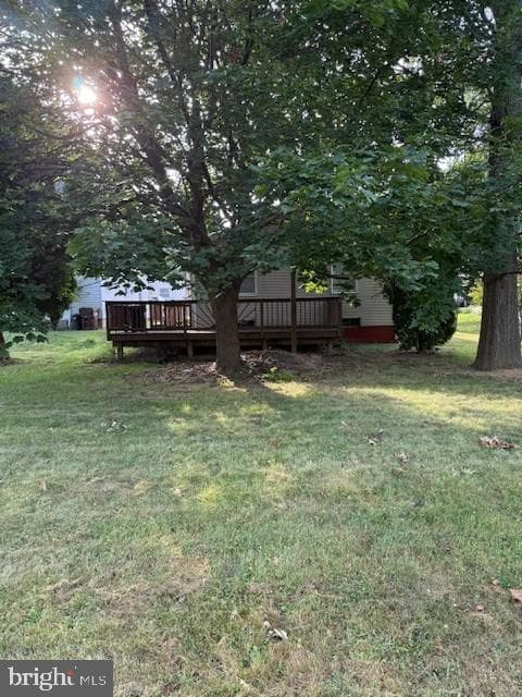 20 Geiser Avenue photo 5