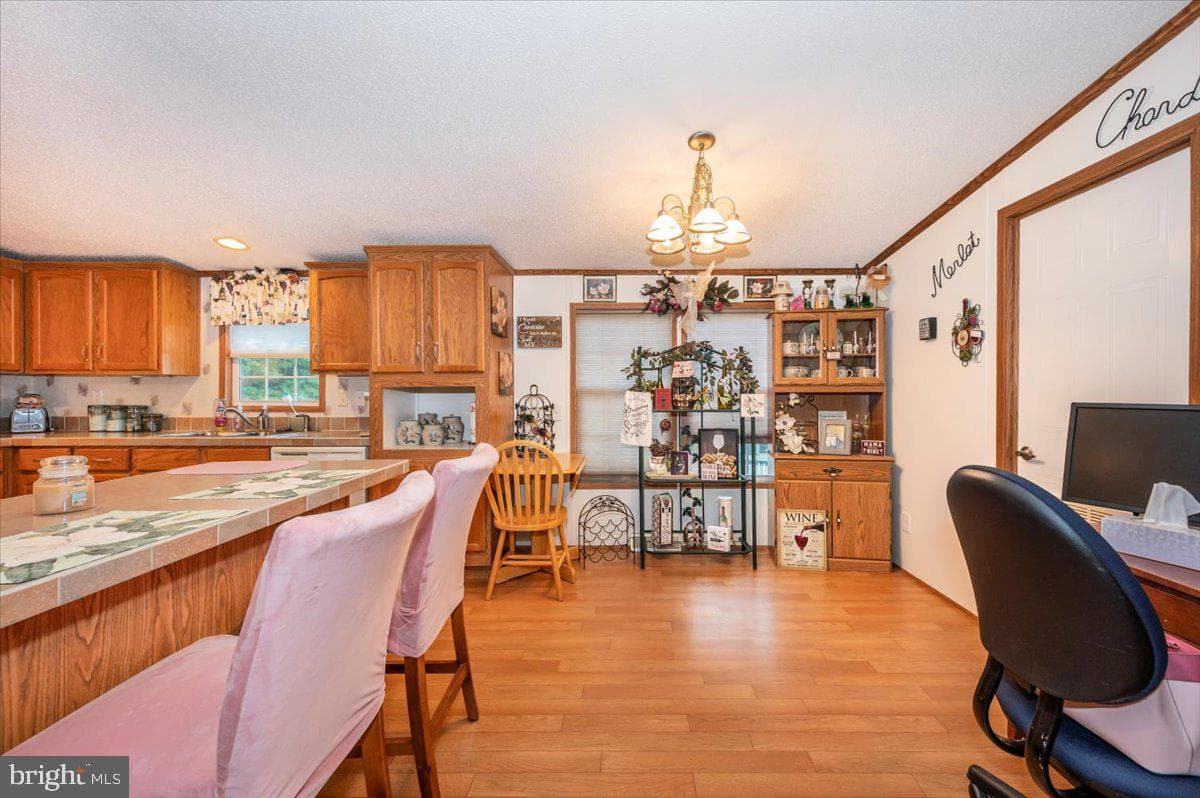 10655 Bailey Springs Lane photo 12