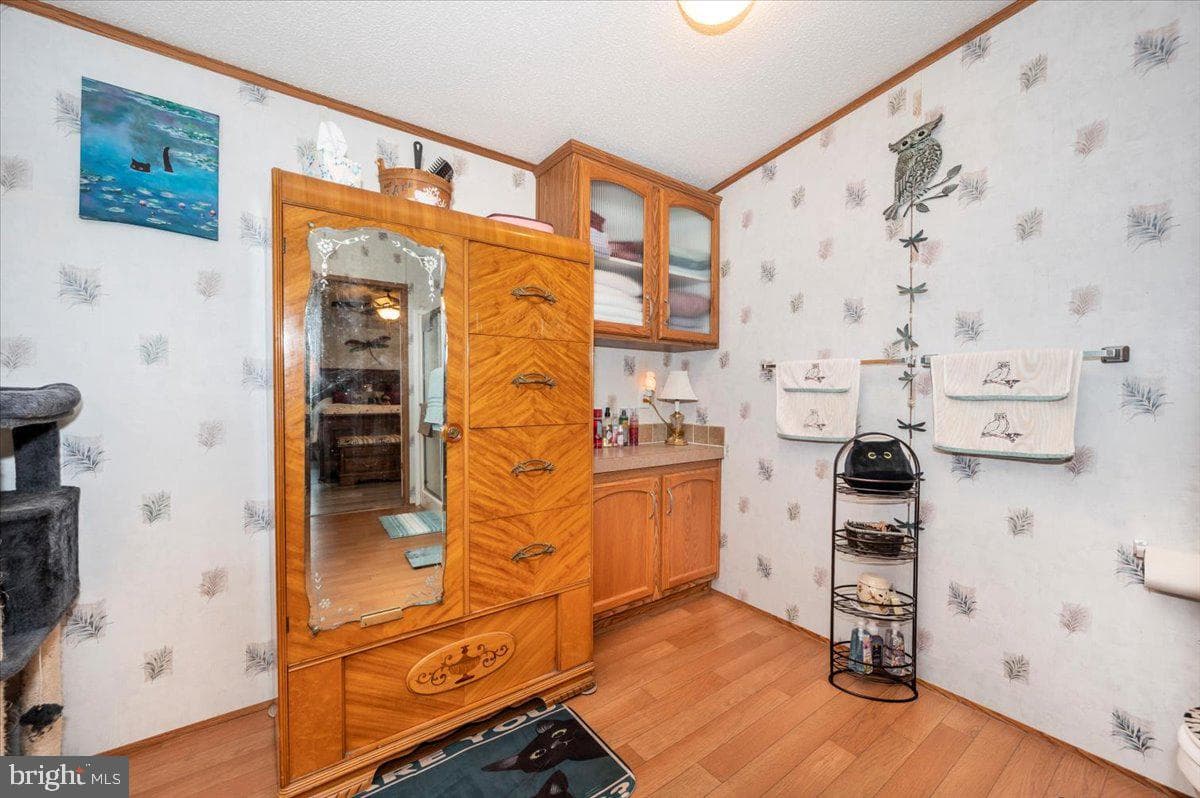 10655 Bailey Springs Lane photo 24