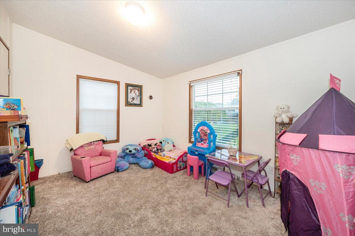 10655 Bailey Springs Lane photo 26