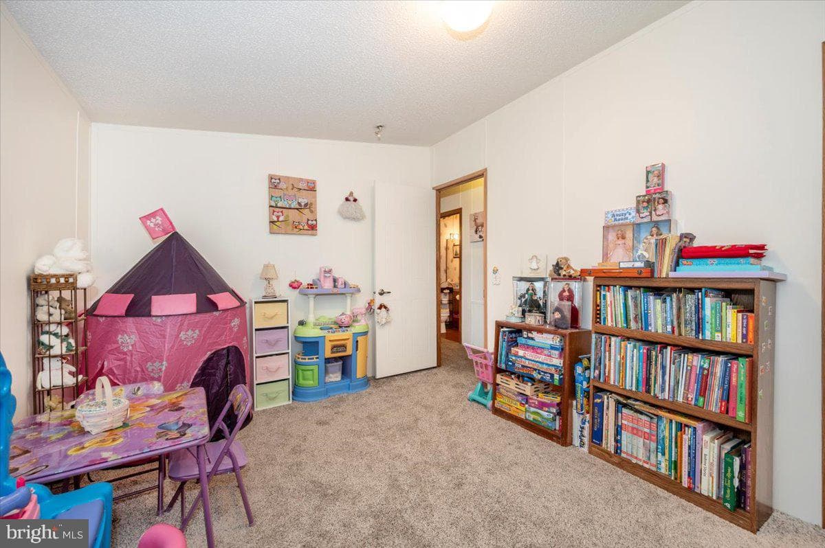 10655 Bailey Springs Lane photo 27