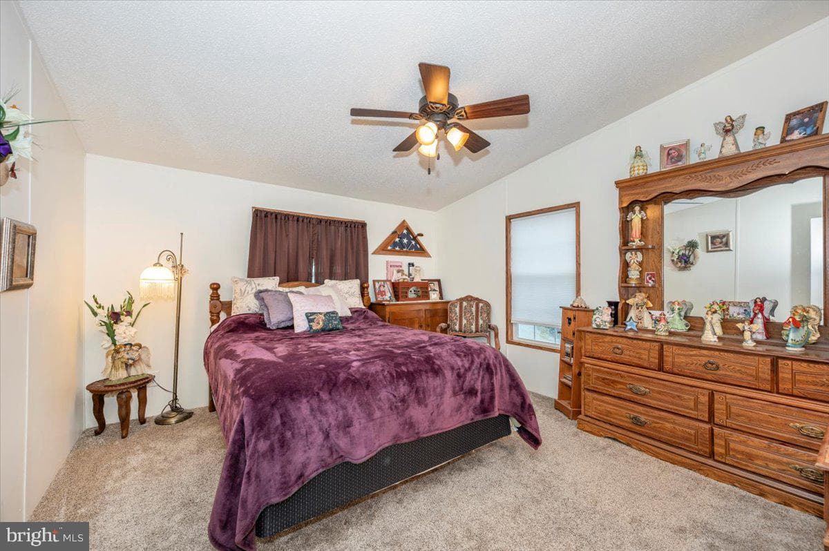 10655 Bailey Springs Lane photo 28