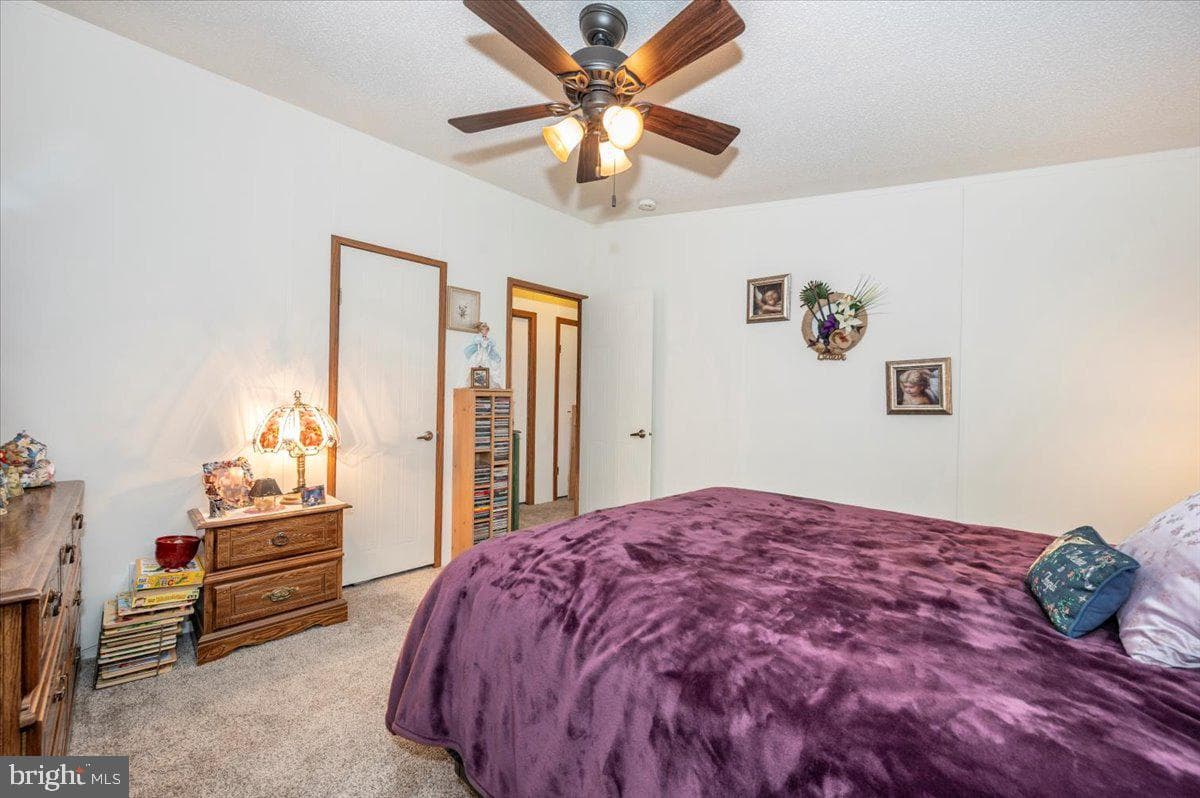 10655 Bailey Springs Lane photo 29