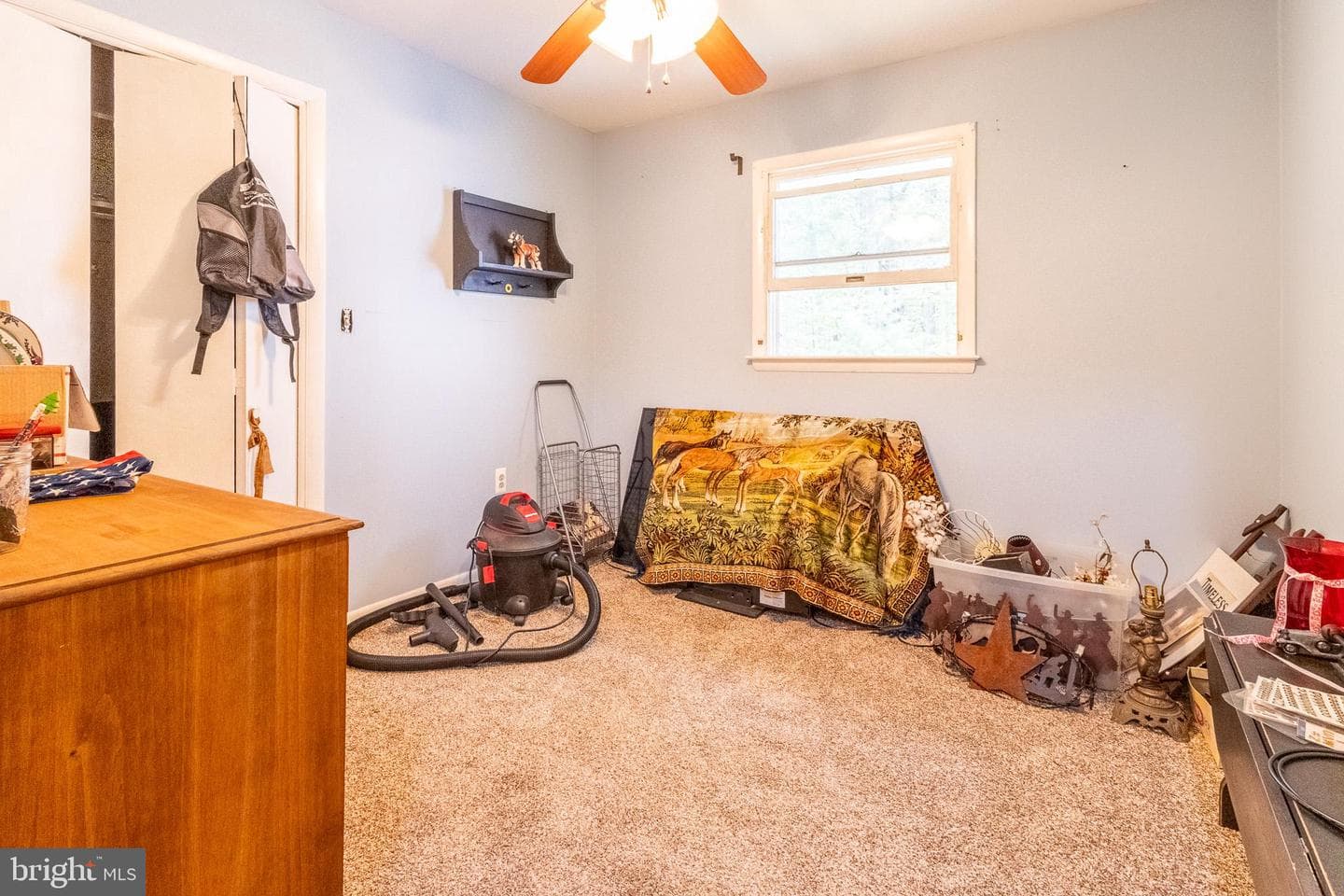 6591 Mountain Drive photo 13