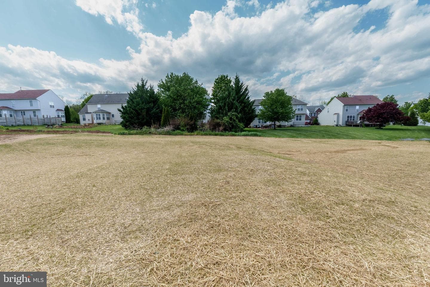 5893 Buchanan Drive photo 3