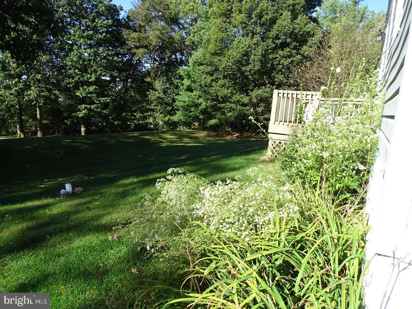 13132 Ashton Drive #11 photo 6
