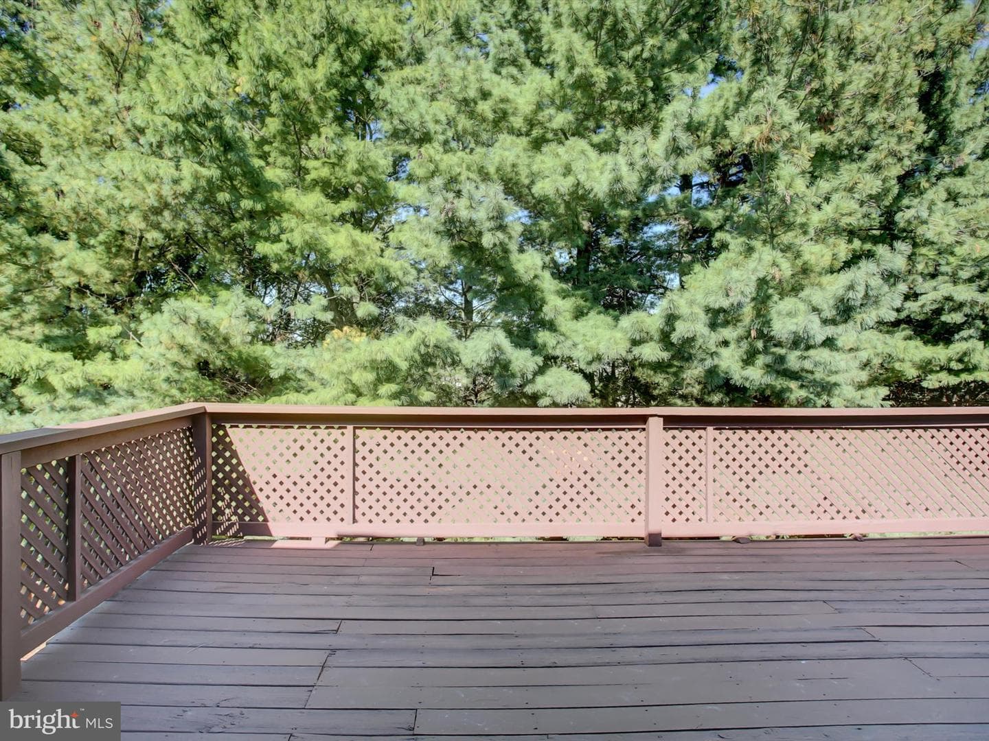 403 Sunny Drive photo 37