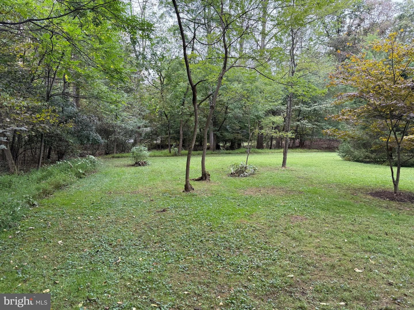 9969 Circle Drive photo 11