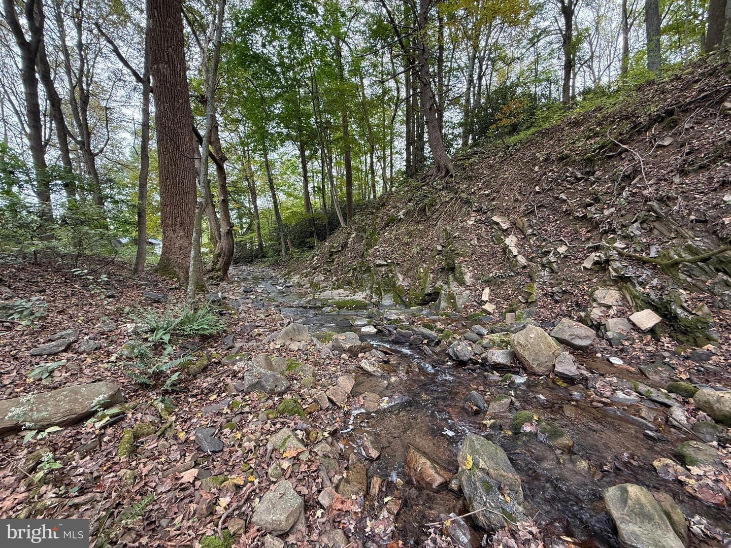 9969 Circle Drive photo 21