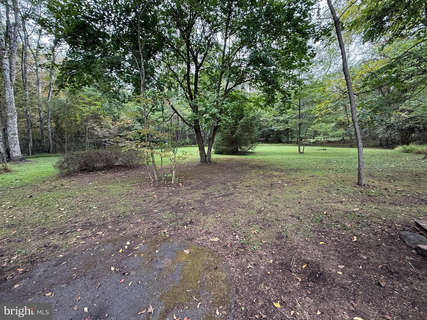 9969 Circle Drive photo 27