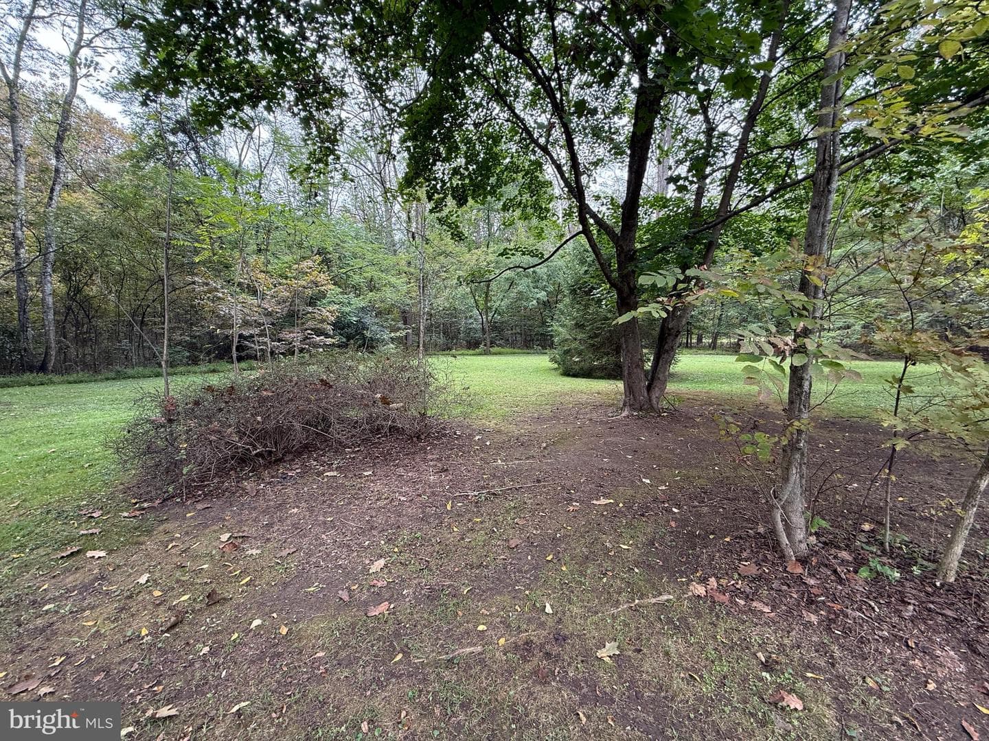9969 Circle Drive photo 28
