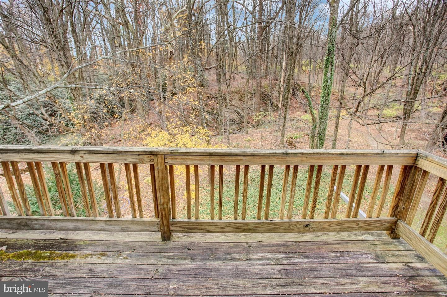 9969 Circle Drive photo 63