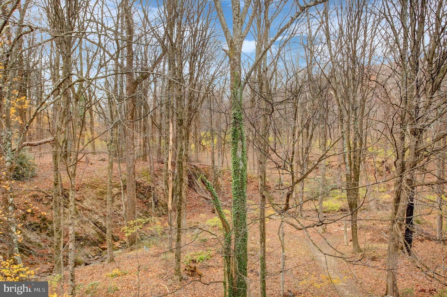 9969 Circle Drive photo 64