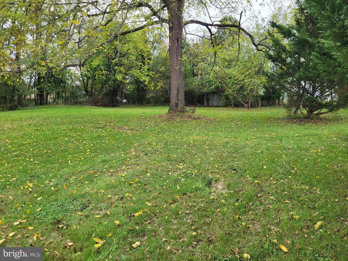 645 Edwards Avenue photo 18