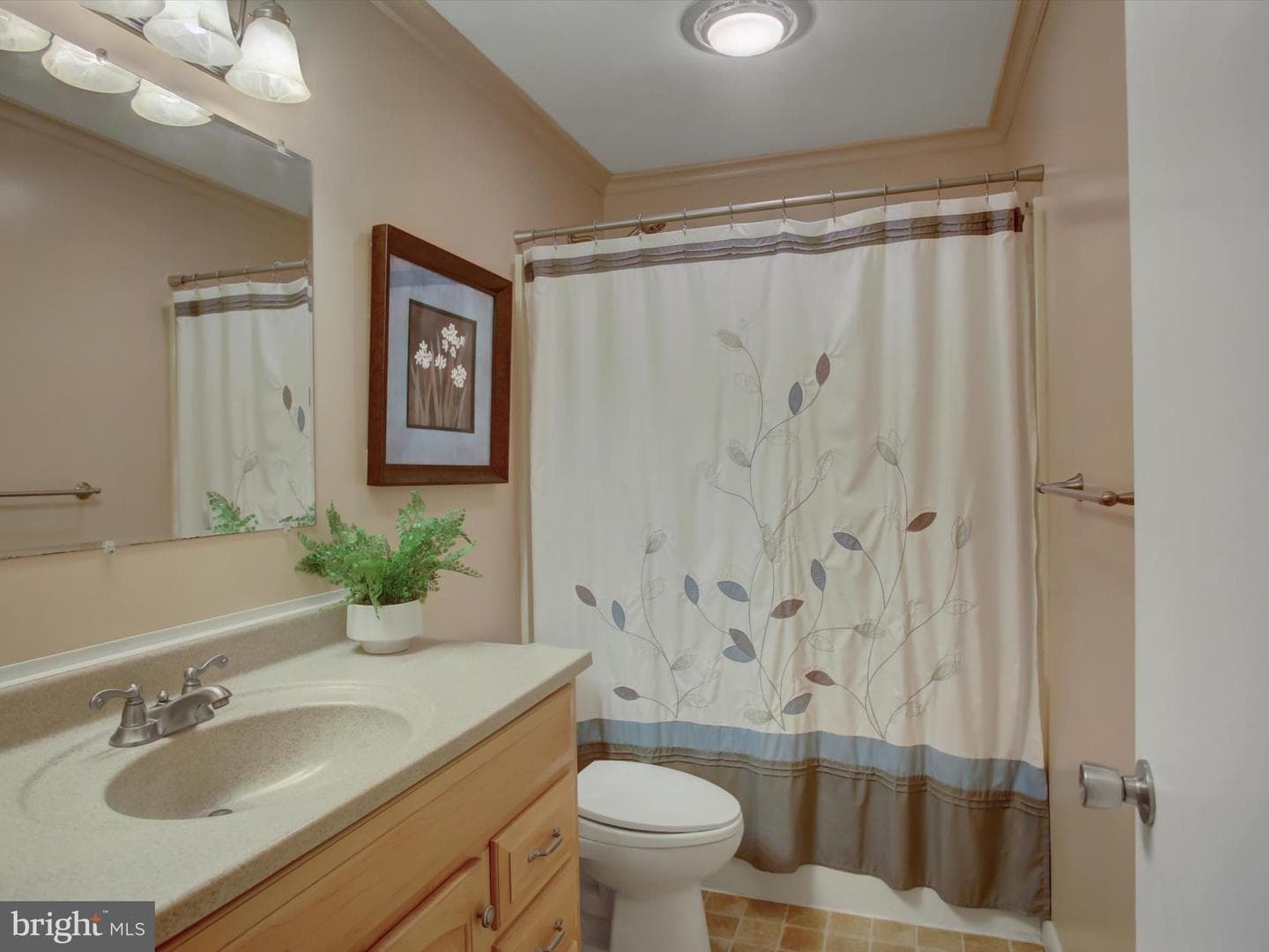 159 Jackson Drive photo 20